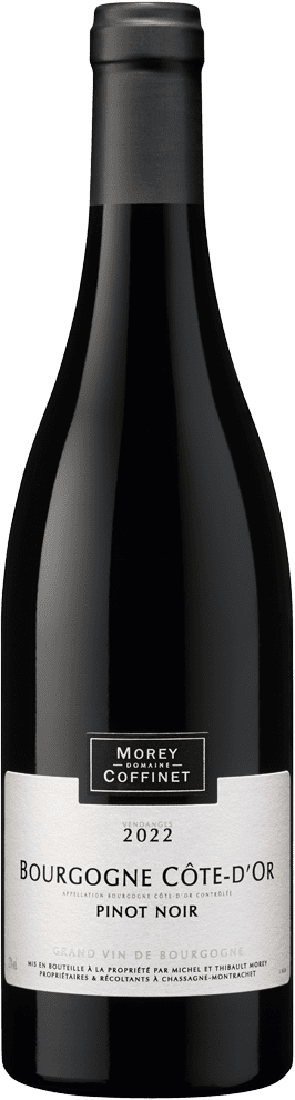 Bourgogne Côte-d'Or " Pinot Noir"